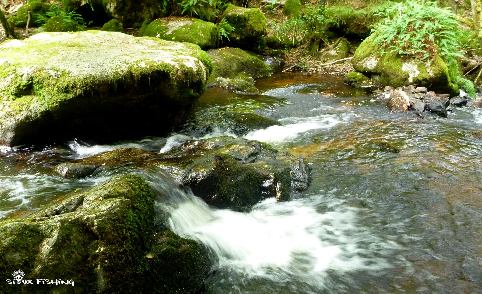  Canche, rivière du Morvan