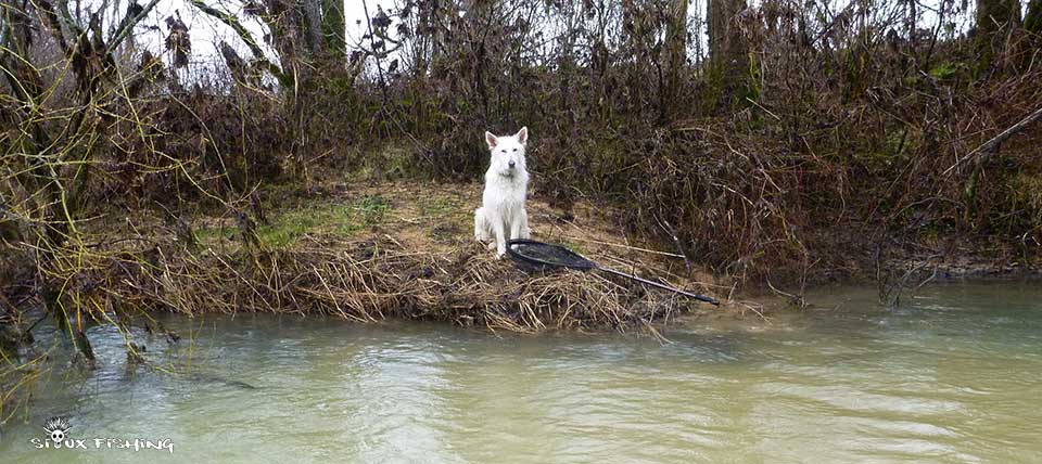Ouverture truite dans la rivière d'ain