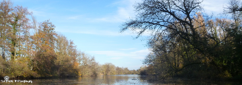 La Seille en Automne