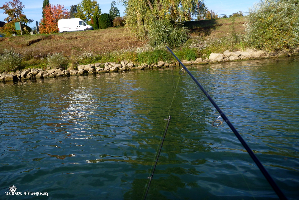 canne brisée pendant le combat avec un silure