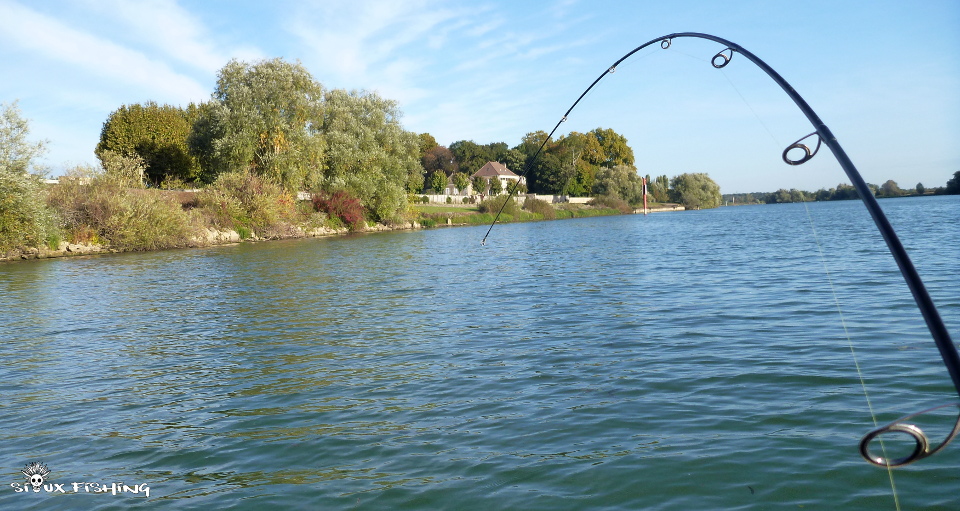 Combat avec un silure
