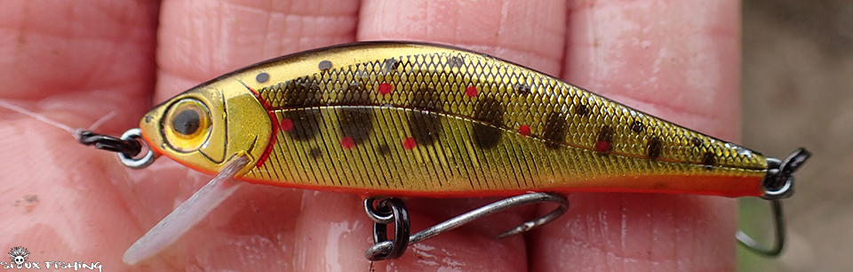 Poisson nageur à truite