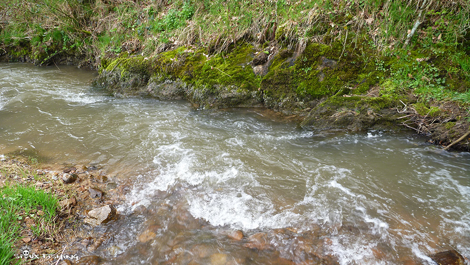 le Mussy, rivière à Truite