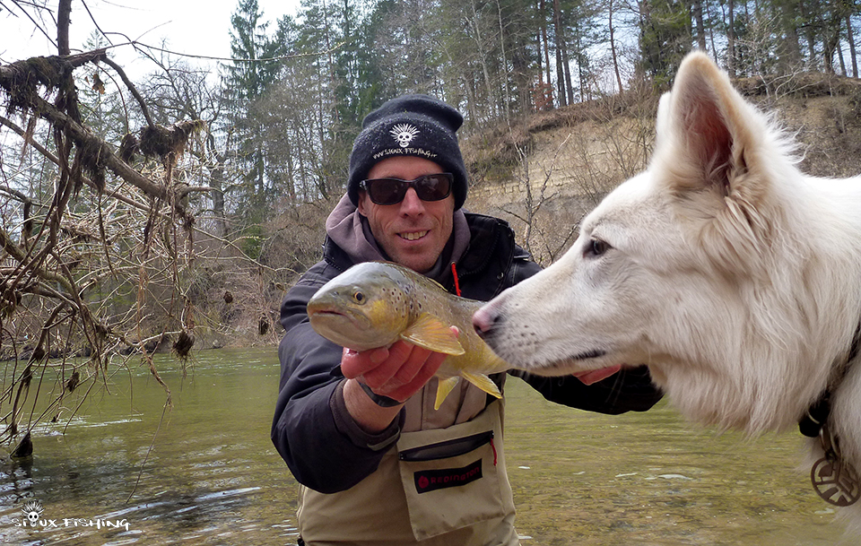 Truite de la Haute rivière d'Ain