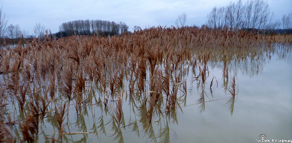 La Saône en Crue La Saône en Crue
