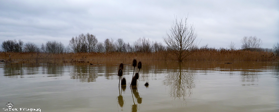 La Saône en Crue La Saône en Crue