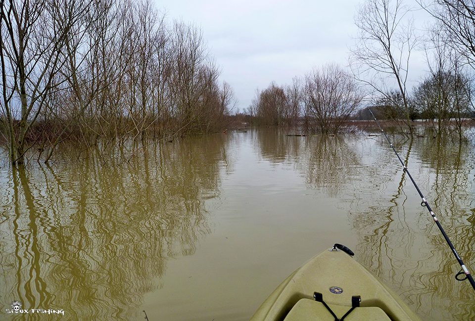 La Saône en Crue La Saône en Crue