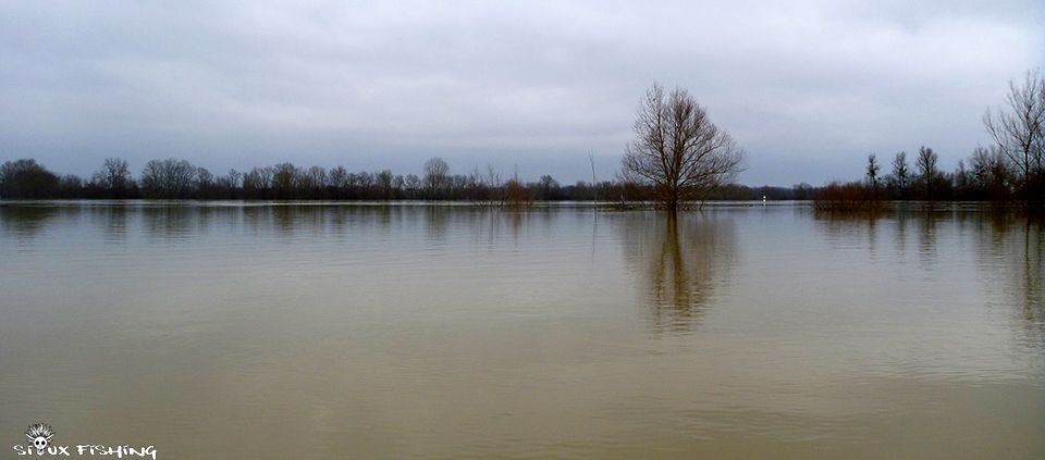 La Saône en Crue La Saône en Crue