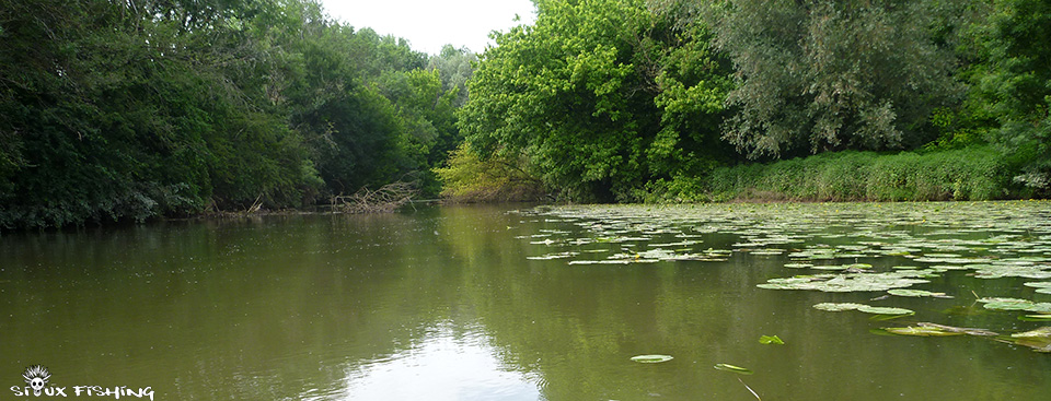La Seille à Cuisery