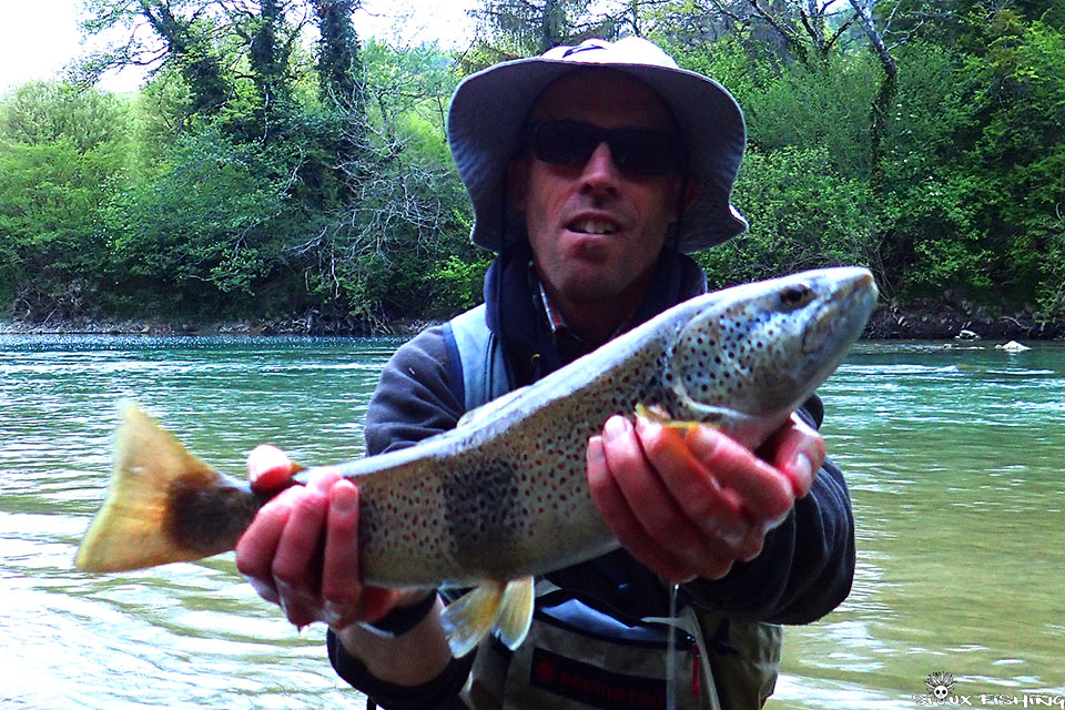 Grosses truites de l'Ain