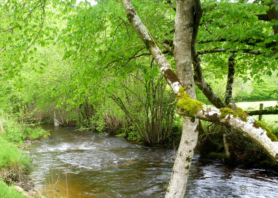 La Canche, une rivière du Morvan La Canche, une rivière du Morvan
