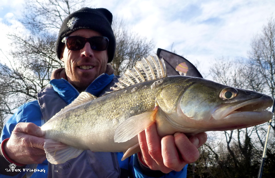 Sandre de Seille Sandre de Seille