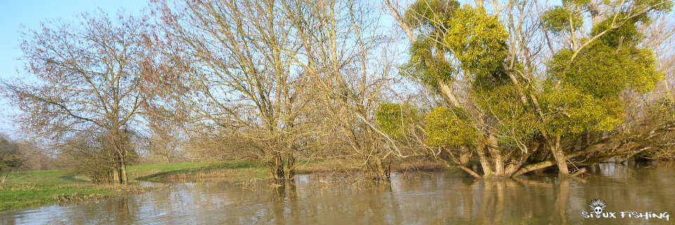 La Seille en crue La Seille en crue
