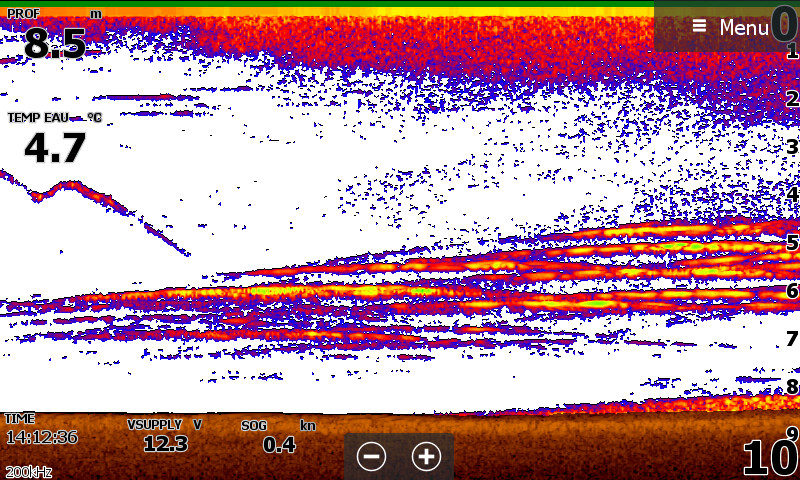 Boule de silures l'échosondeur Boule de silure à l'échosondeur
