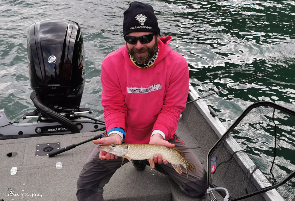 Petit brochet du Bourget Petit brochet du Bourget