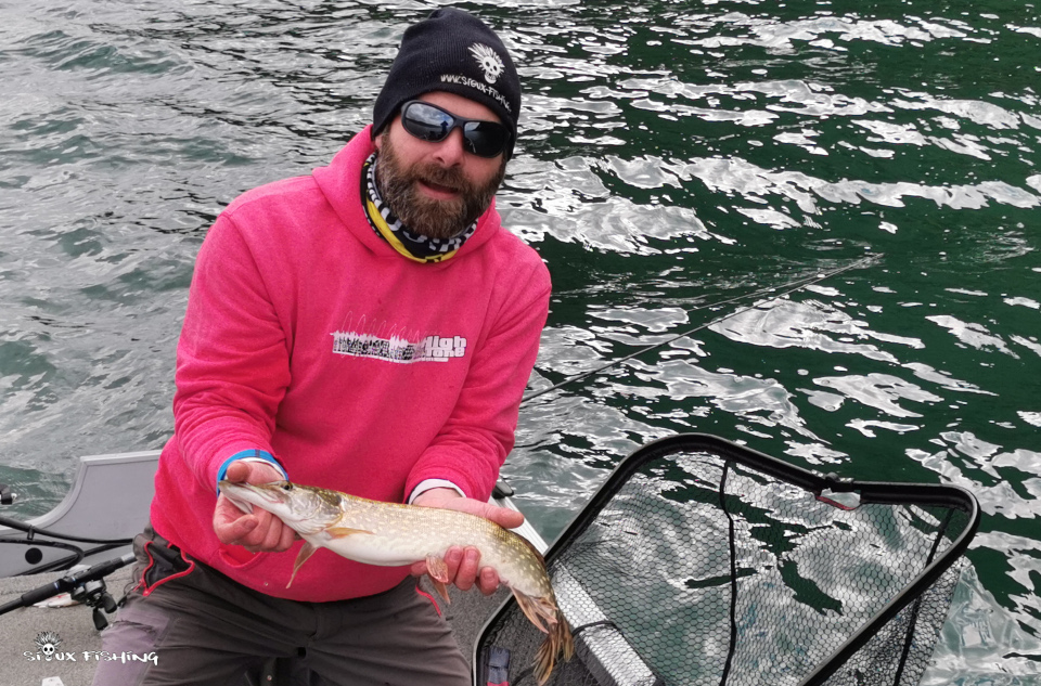 Petit brochet du Bourget Petit brochet du Bourget