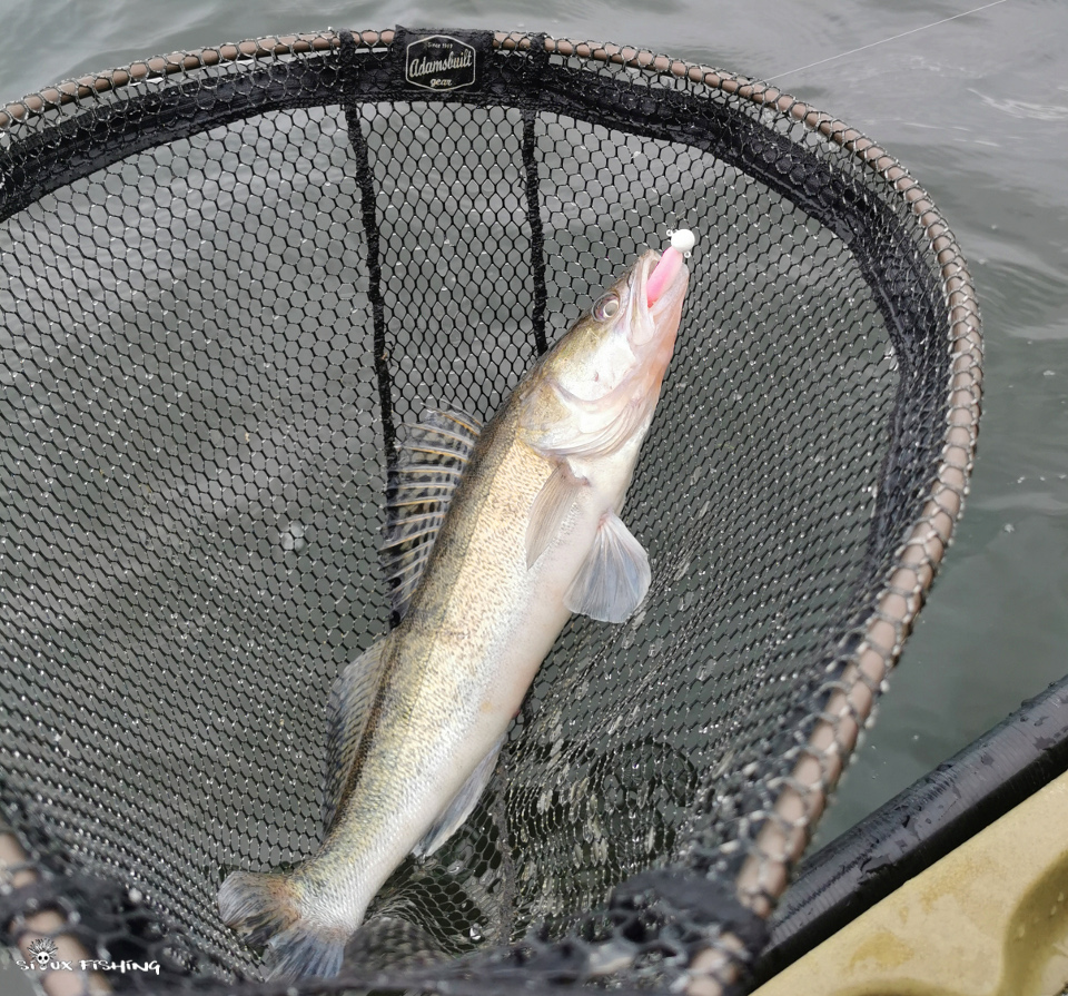 Sandre de Torcy Sandre de Torcy