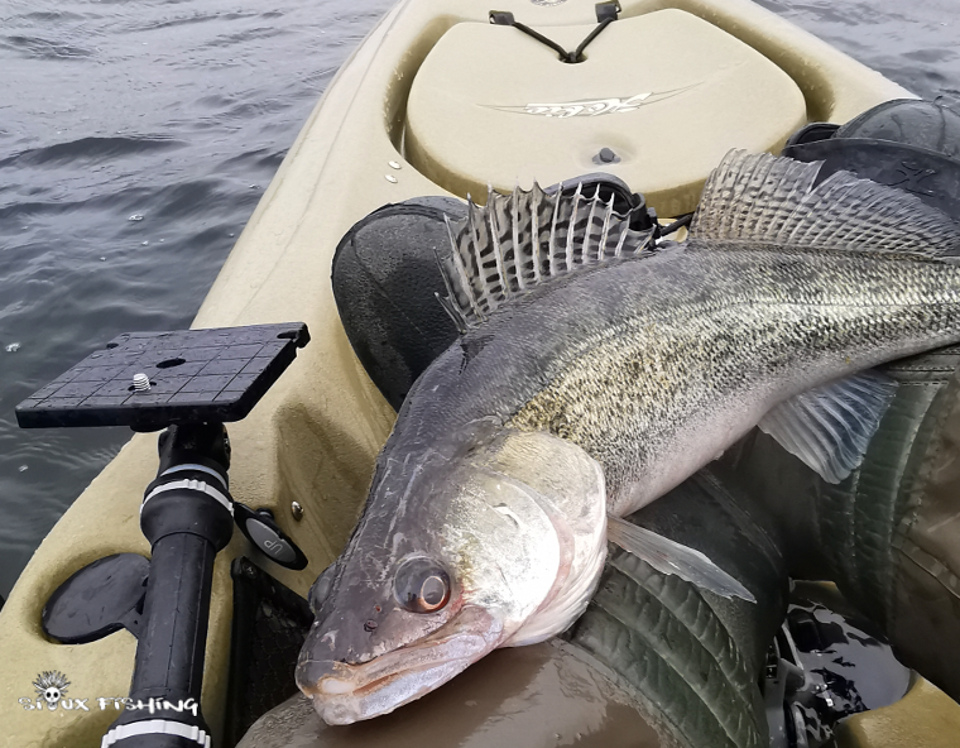 Sandre de Torcy Sandre de Torcy