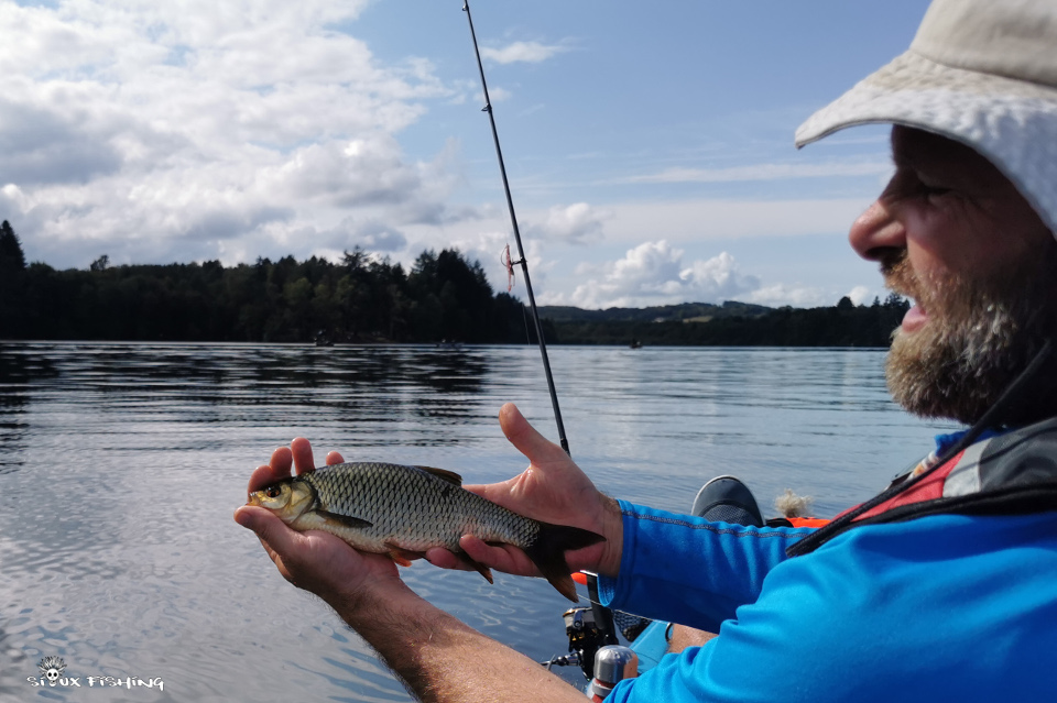 Rotengle du lac des Settons Rotengle du lac des Settons
