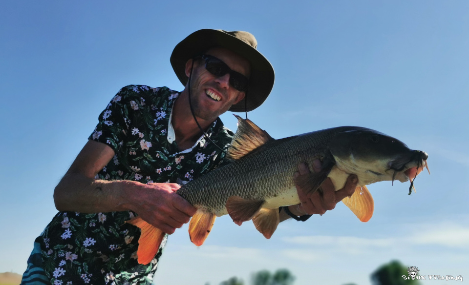 Barbeau de Loire Barbeau de Loire
