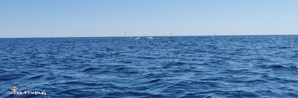 Chasse au loin Chasse au loin