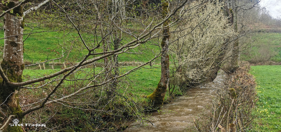 ruisseau aux eaux hautes et teintées ruisseau aux eaux hautes et teintées