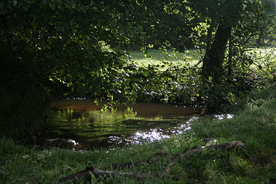 Le Botoret Le Botoret