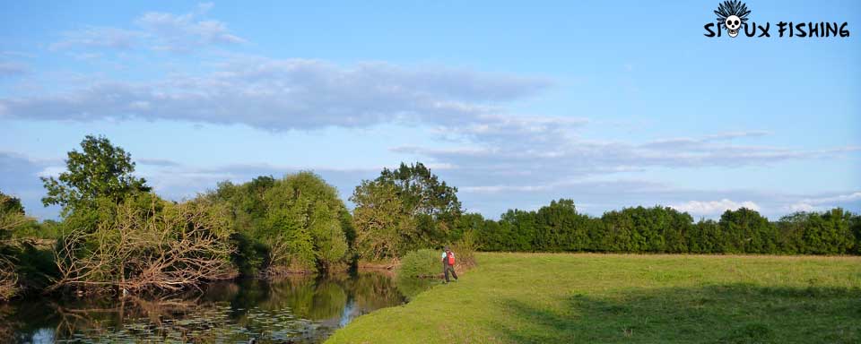 La Grosne à Lalheue